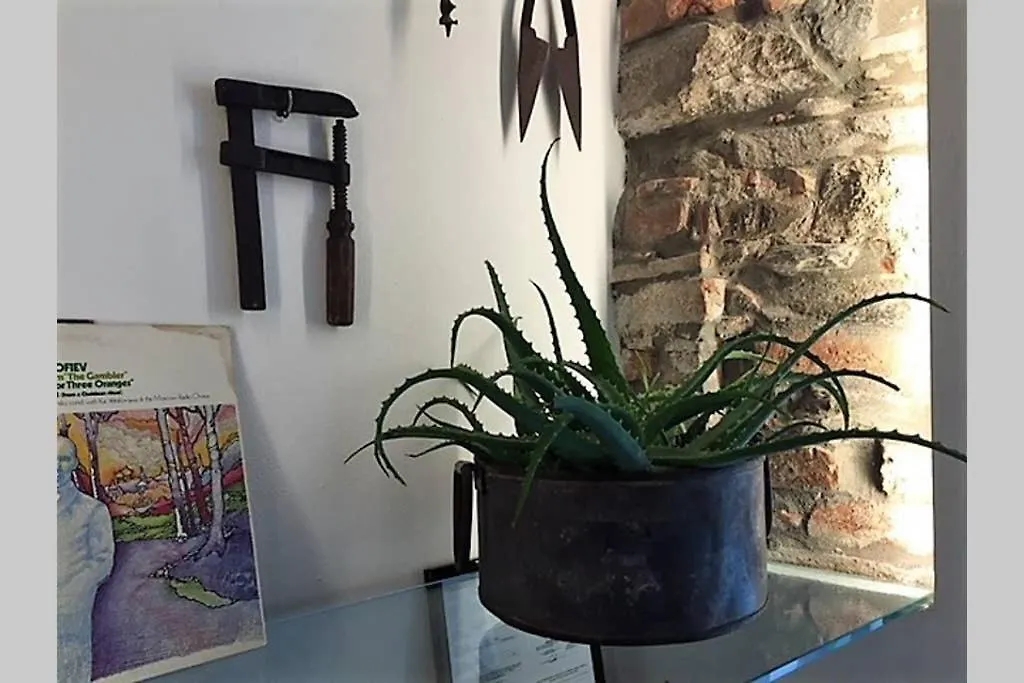 Casa Oliva Cinque Terre Apartment Manarola